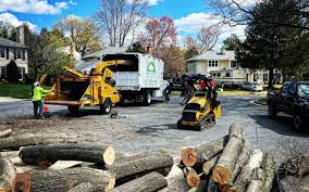 Best Leaf Removal  in , WY