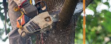 Best Aeration Services  in , WY
