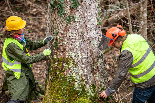  , WY Tree Care Pros